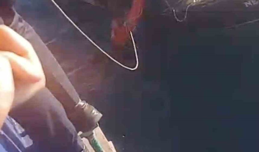 Feribottan Atlayan Kişiyi Gestaş Personelleri Ve Balıkçılar Kurtardı