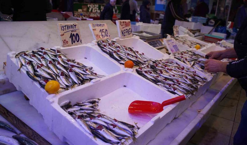 Hamsi Zirvedeki Yerini İstavrite Bıraktı