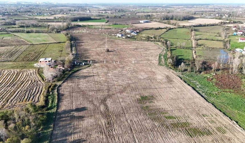 Karadeniz’in En Büyük İncir Projesi