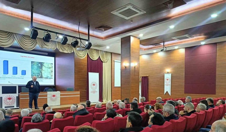 Prof. Dr. Yeninar: "Arı ölümlerinin çoğu kışlamaya bağlı ortaya çıkıyor"