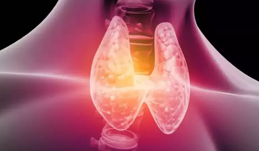 Uzmanından Uyarı: "Tiroit Bozuklukları Enerji Dengesini Olumsuz Etkiliyor