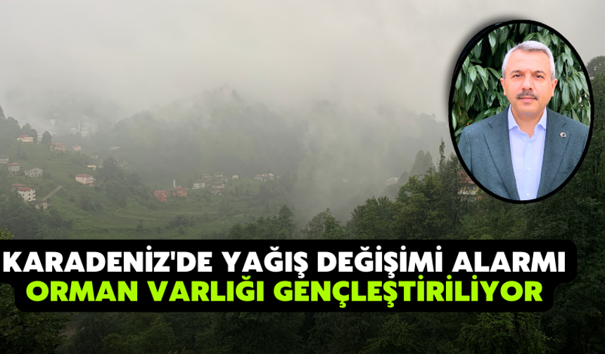 Karadeniz'de Yağış Değişimi Alarmı; Orman Varlığı Gençleştiriliyor