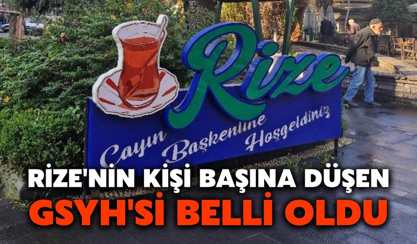 Rize'nin Kişi Başına Düşen GSYH'si Belli Oldu