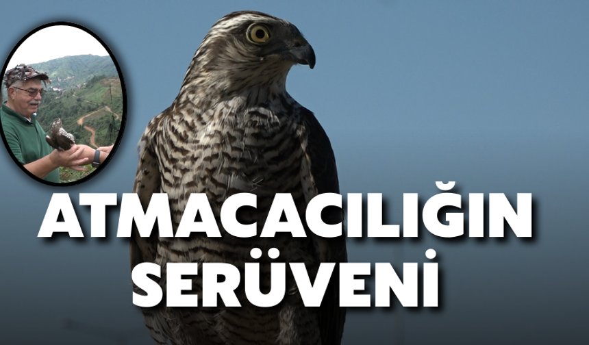 Atmacacılığın Serüveni