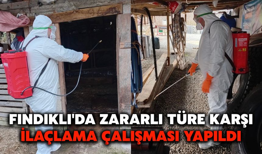 Fındıklı'da Zararlı Türe Karşı İlaçlama Çalışması Yapıldı