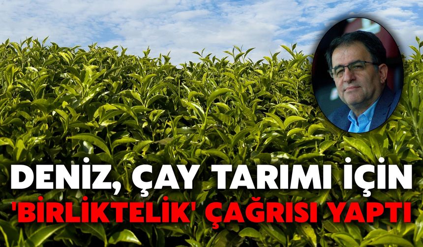Deniz, Çay Tarımı İçin 'Birliktelik' Çağrısı Yaptı