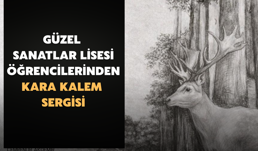 Güzel Sanatlar Lisesi Öğrencilerinden Kara Kalem Sergisi