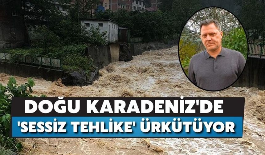 Doğu Karadeniz'de 'Sessiz Tehlike' Ürkütüyor