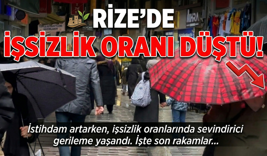 Rize'de İşsizlik Oranı Düştü