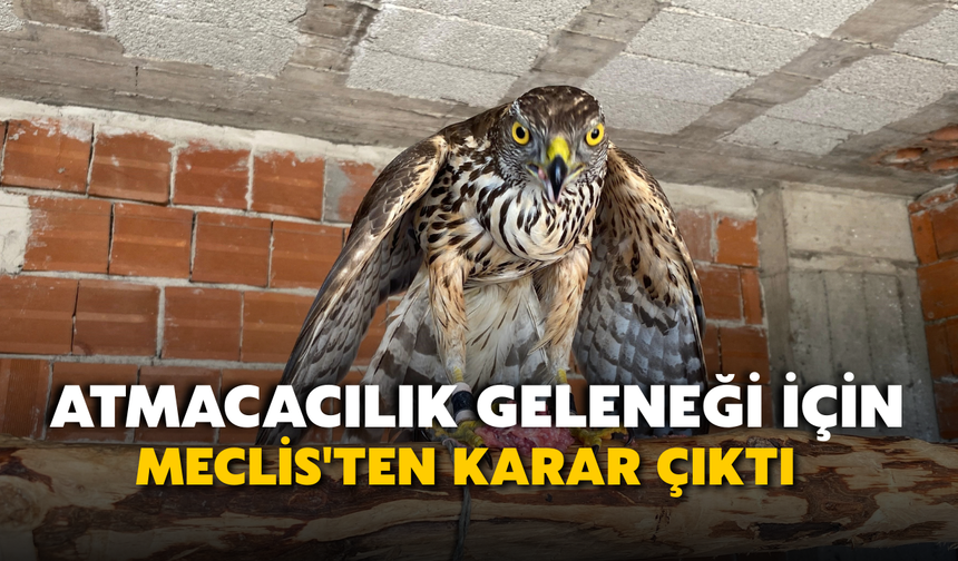 Atmacacılık Geleneği İçin Meclis'ten Karar Çıktı