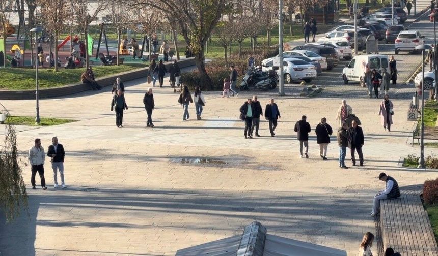 Domuz Gribi Vakalarında Artış