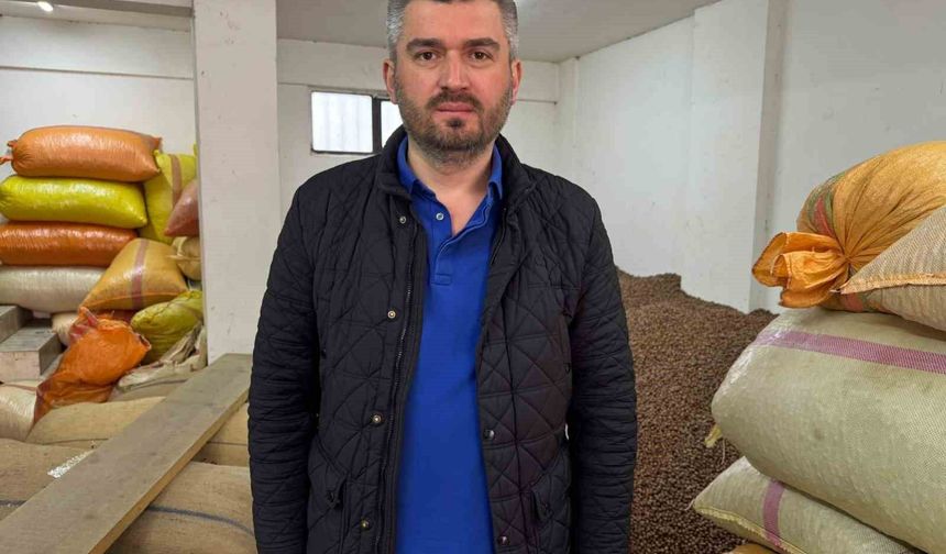 Düşmeye Devam Eden Fındık Fiyatını Yeni Sezon Rekoltesi Belirleyecek