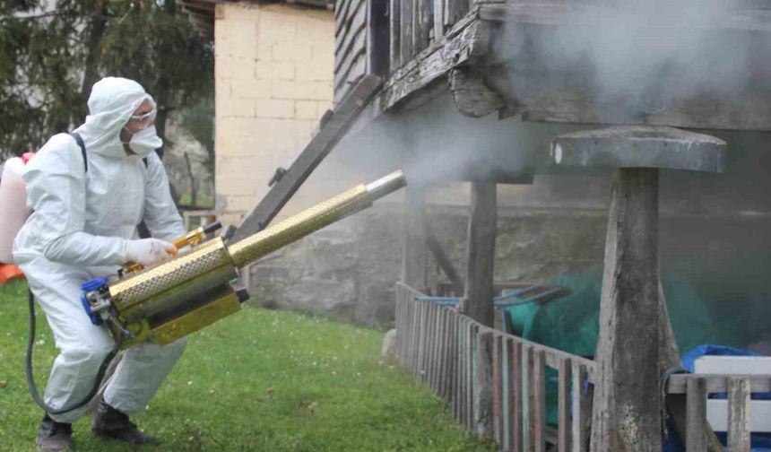 Ordu'da Kahverengi Kokarca İle Kışlak Mücadelesi