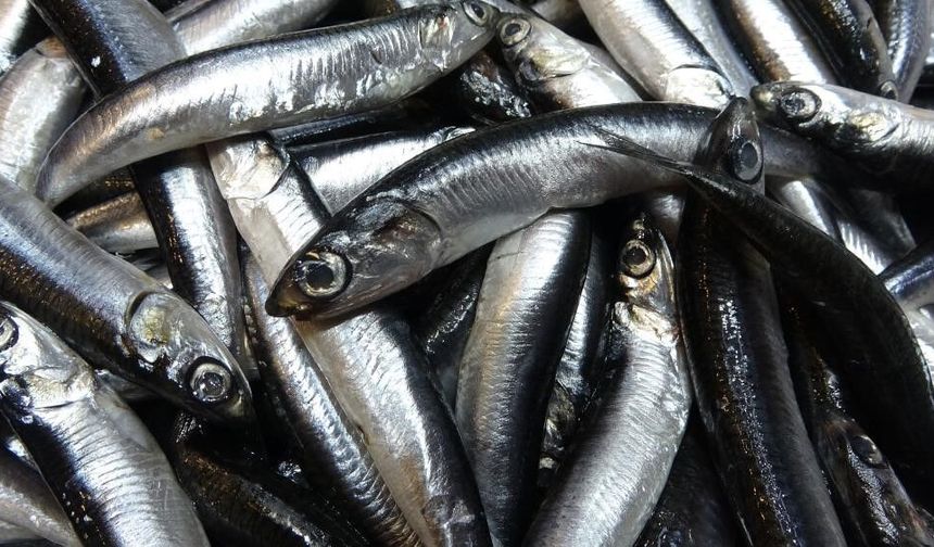 Savaş Halindeki Ülke İhracatta İlk Sırayı Aldı