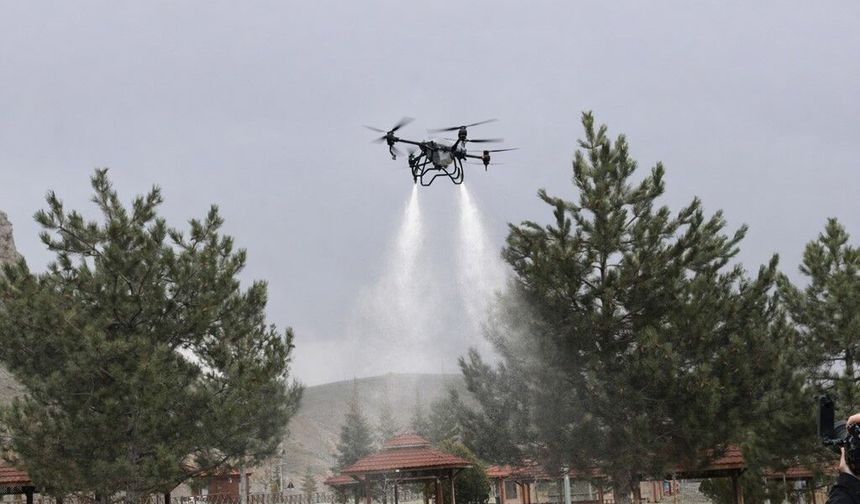 Sivas'ta keneye karşı havadan karadan mücadele