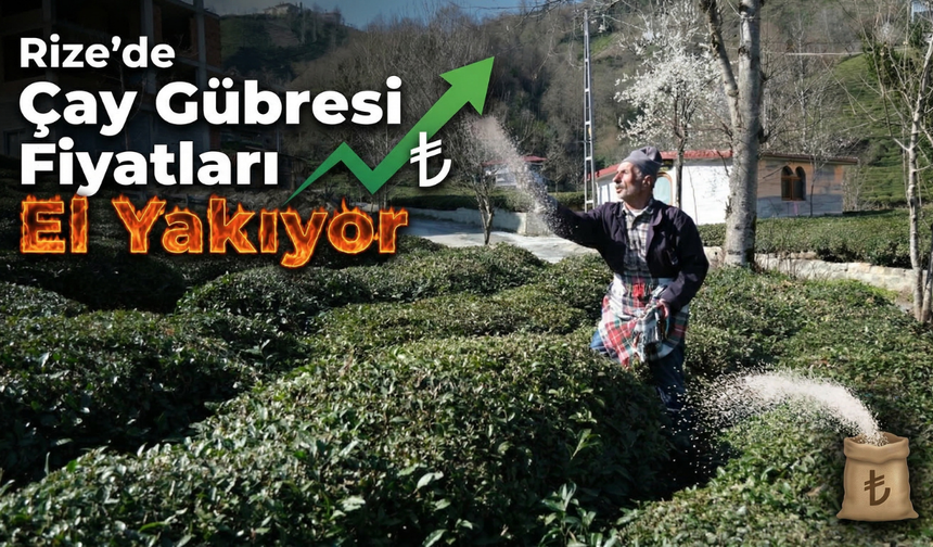 Rize’de Çay Gübresi Fiyatları El Yakıyor