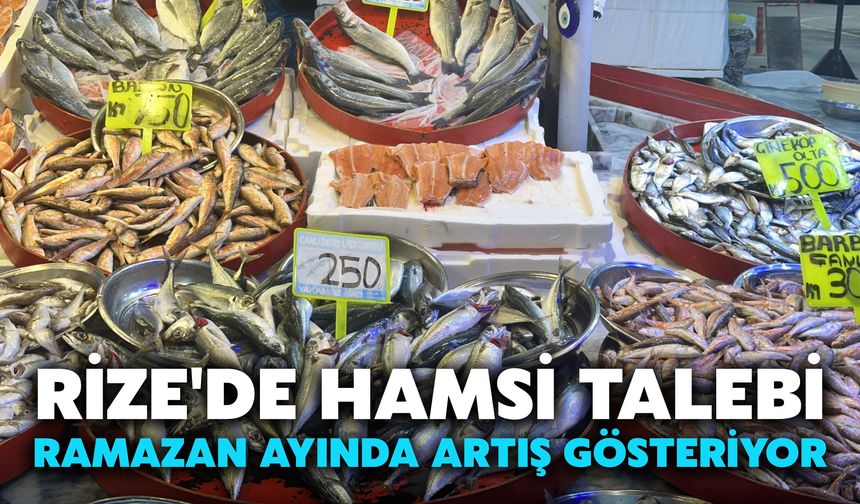 Rize'de Hamsi Talebi Ramazan Ayında Artış Gösteriyor