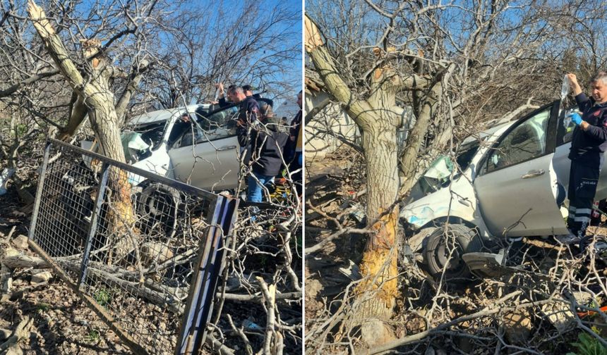 Kontrolden Çıkan Otomobil Ağaçlara Ok Gibi Saplandı: 2 Ölü, 1 Ağır Yaralı