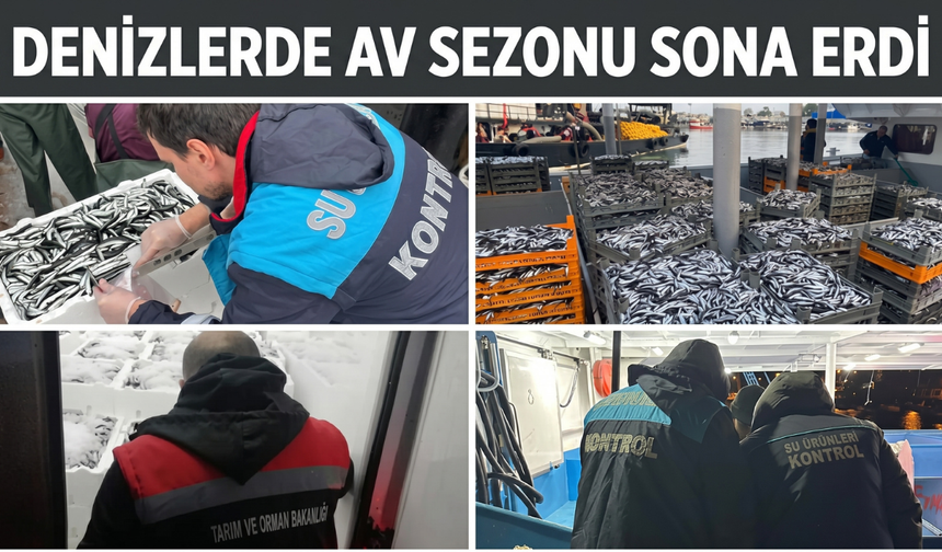 Denizlerde Av Sezonu Sona Erdi