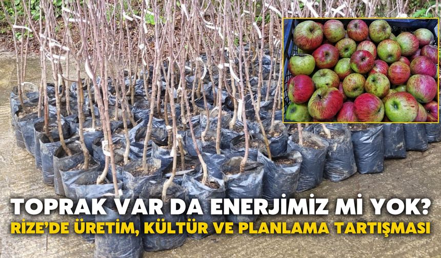 Toprak Var da Enerjimiz Mi Yok?  Rize’de Üretim, Kültür ve Planlama Tartışması