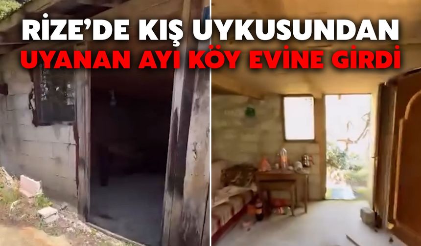 Rize’de Kış Uykusundan Uyanan Ayı Köy Evine Girdi