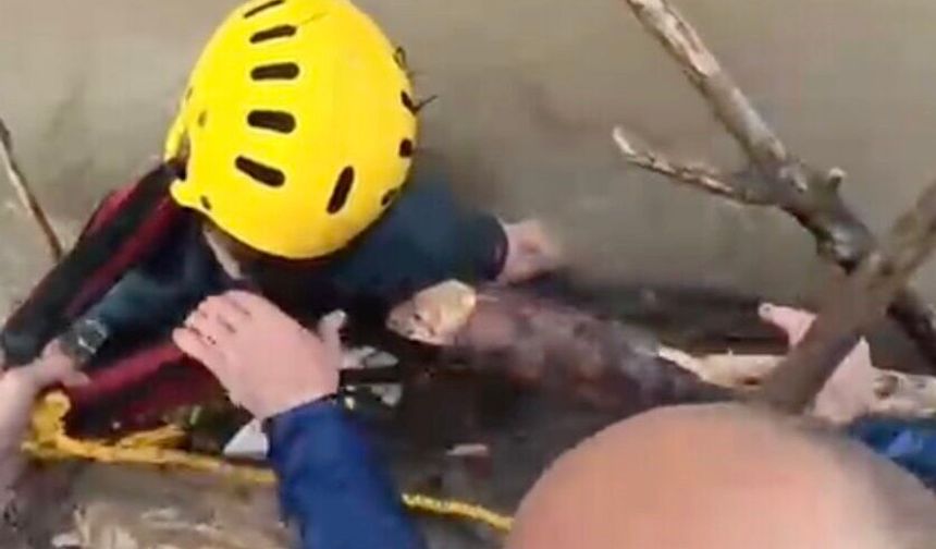 Rafting Faciasının Acı Sonu Aksiyon Kamerasına Yansıdı