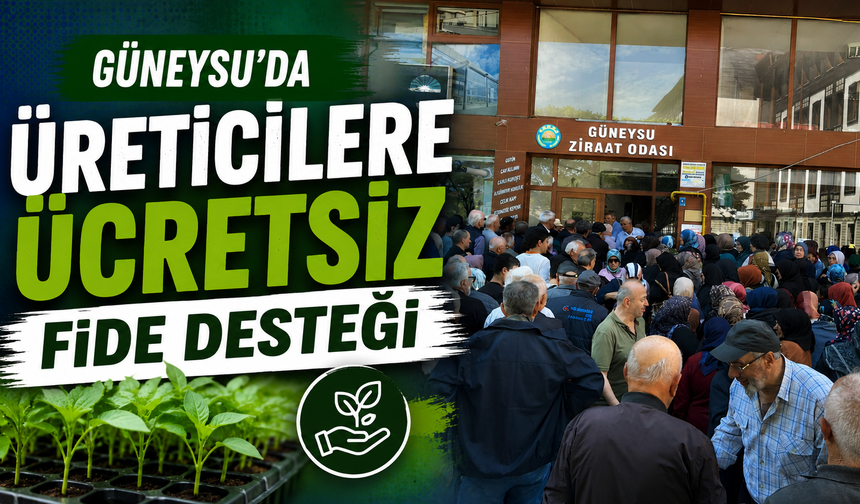 Güneysu’da üreticilere ücretsiz fide desteği