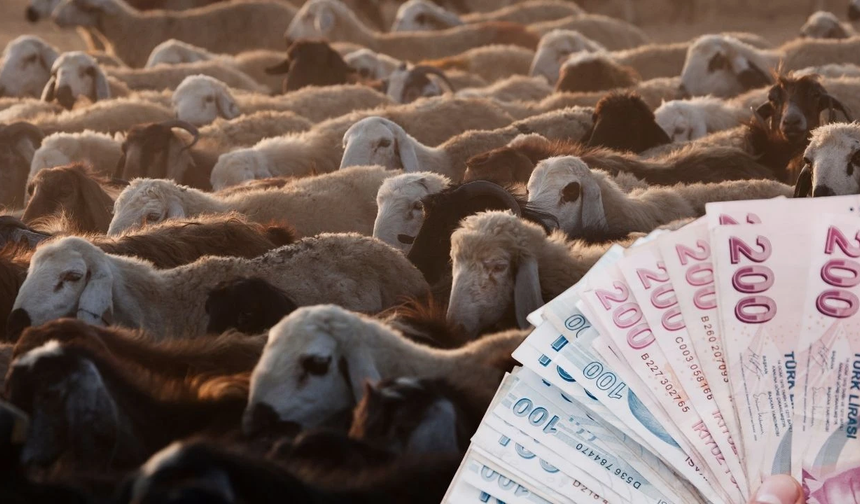 Emekli Bayram İkramiyesi Ödemeleri Ne Zaman Ödenecek?