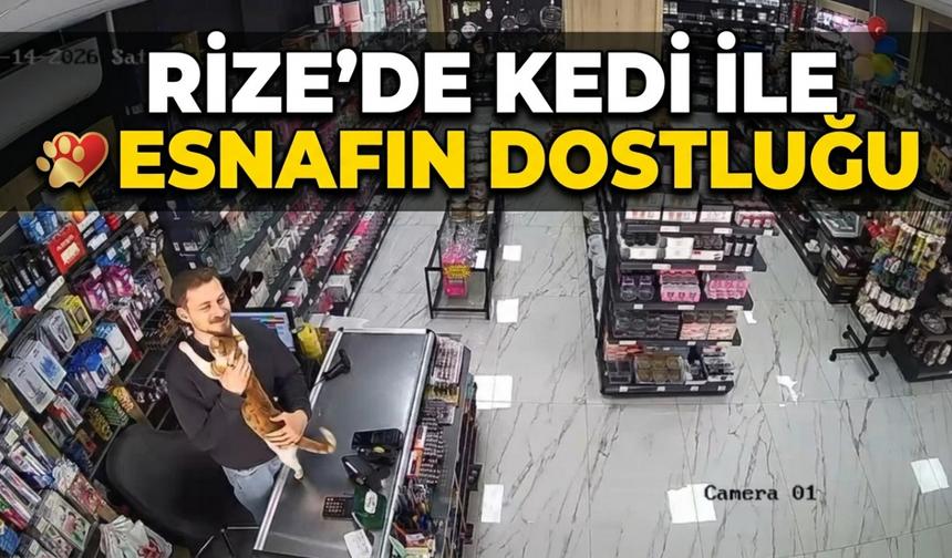 Rize’de Kedi ile Esnafın İç Isıtan Dostluğu