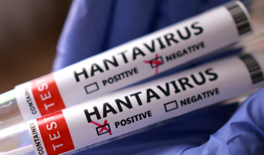 Hantavirüs Korkusu Artarken Uzmanlardan Hijyen Çağrısı