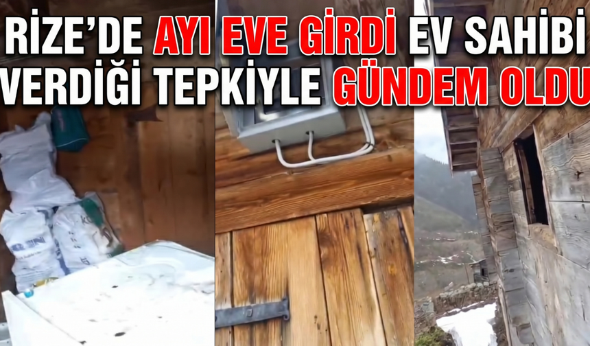 Rize’de Ayı Eve Girdi, Ev Sahibi Verdiği Tepkiyle Gündem Oldu