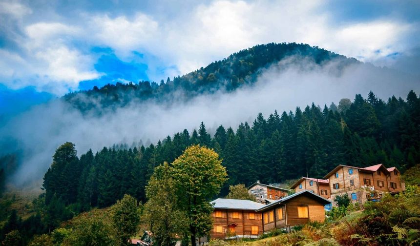 Rize Yaylalarına Yakın Yaşam Neden Daha Cazip Hale Geldi?