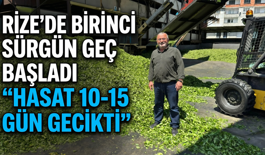 Rize’de Birinci Sürgün Geç Başladı: “Hasat 10-15 Gün Gecikti