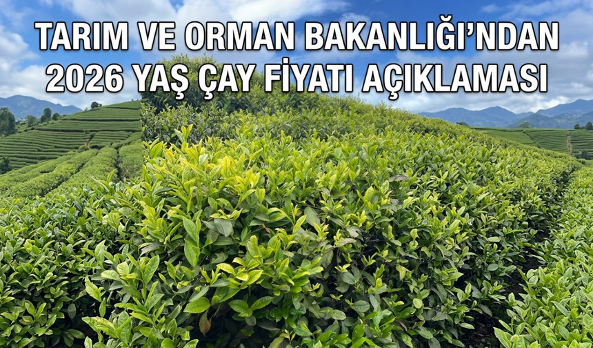 Tarım ve Orman Bakanlığı’ndan 2026 Yaş Çay Fiyatı Açıklaması