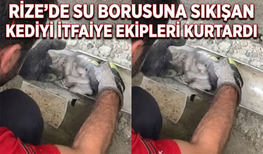 Rize'de Su Borusuna Sıkışan Kediyi İtfaiye Ekipleri Kurtardı