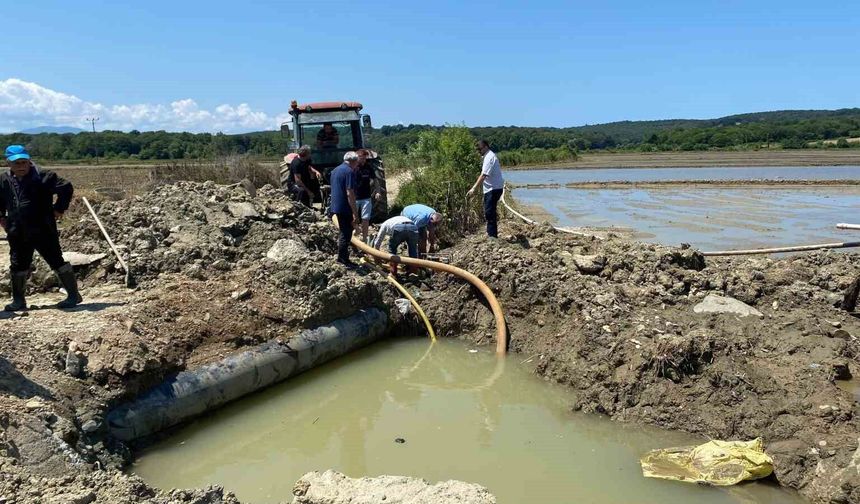 Sinop'ta sulama hattı patladı, çeltik üreticisi tepki gösterdi