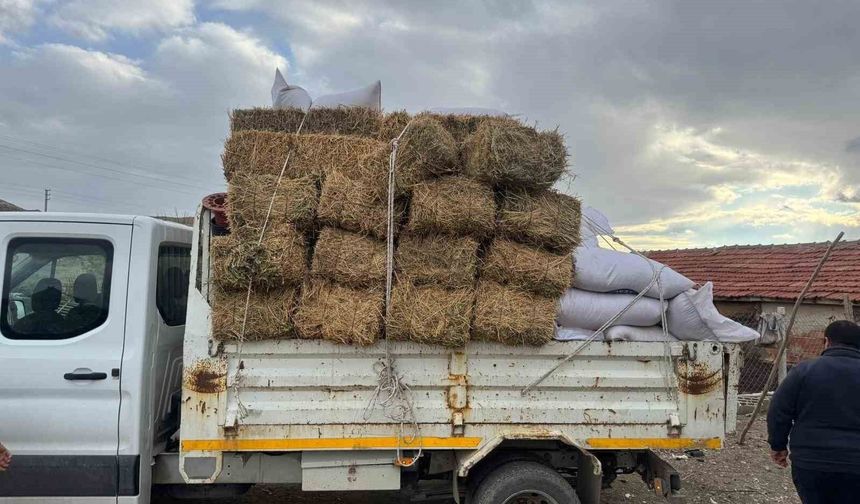 Üreticiye Müjdeli Haber: Saman Fiyatları Yarı Yarıya Geriledi