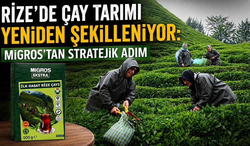 Rize'de Çay Tarımı Yeniden Şekilleniyor: Migros'tan Stratejik Adım