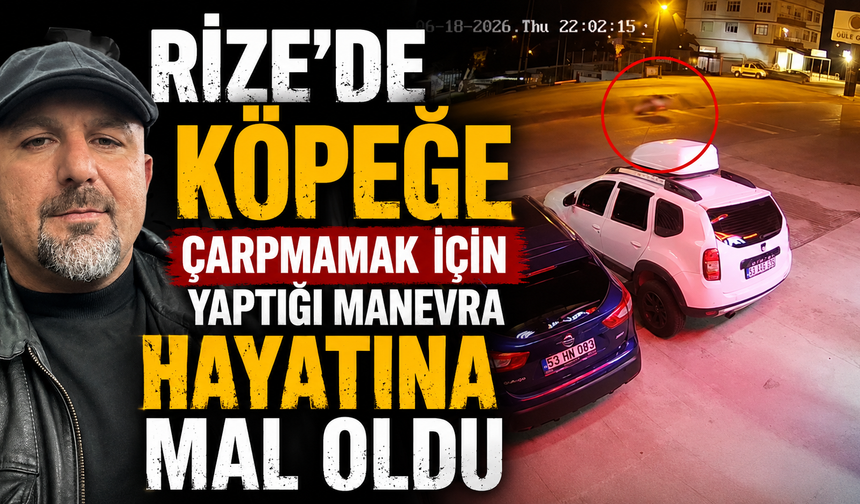 Rize'de Köpeğe Çarpmamak İçin Yaptığı Manevra Hayatına Mal Oldu