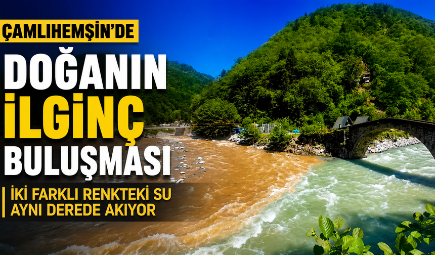 Çamlıhemşin'de Doğanın İlginç Buluşması: İki Farklı Renkteki Su Aynı Derede Akıyor
