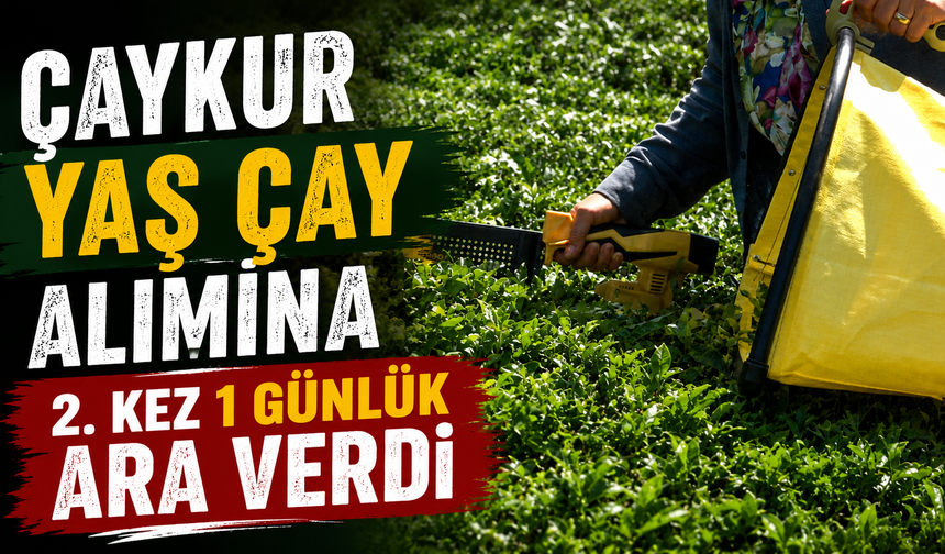 ÇAYKUR Yaş Çay Alımına 2. Kez 1 Günlük Ara Verdi
