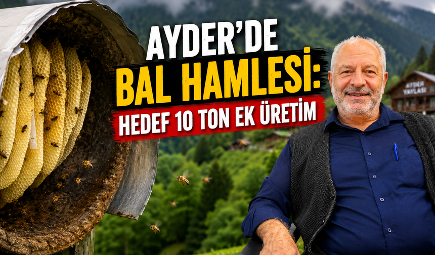 Ayder'de Bal Hamlesi: Hedef 10 Ton Ek Üretim