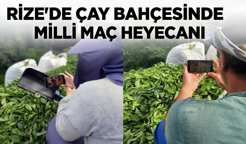 Rize'de Çay Bahçesinde Milli Maç Heyecanı