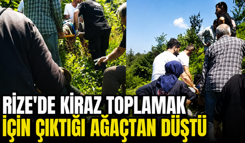Rize'de Kiraz Toplamak İçin Çıktığı Ağaçtan Düştü