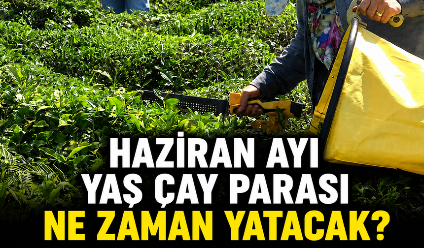 ÇAYKUR’da Haziran Ayı Yaş Çay Parası Ödeme Tarihi Netleşti mi?