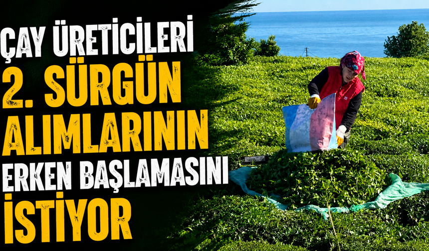 Çay Üreticileri 2. Sürgün Alımlarının Erken Başlamasını İstiyor