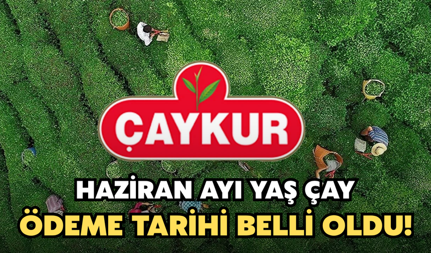 ÇAYKUR Haziran Ayı Yaş Çay Ödeme Tarihi Belli Oldu