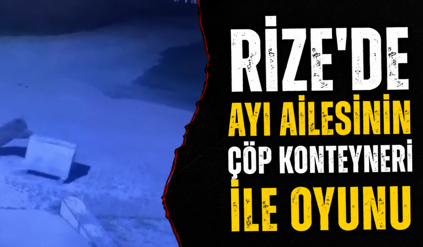Rize'de Ayı Ailesinin Çöp Konteyneri İle Oyunu
