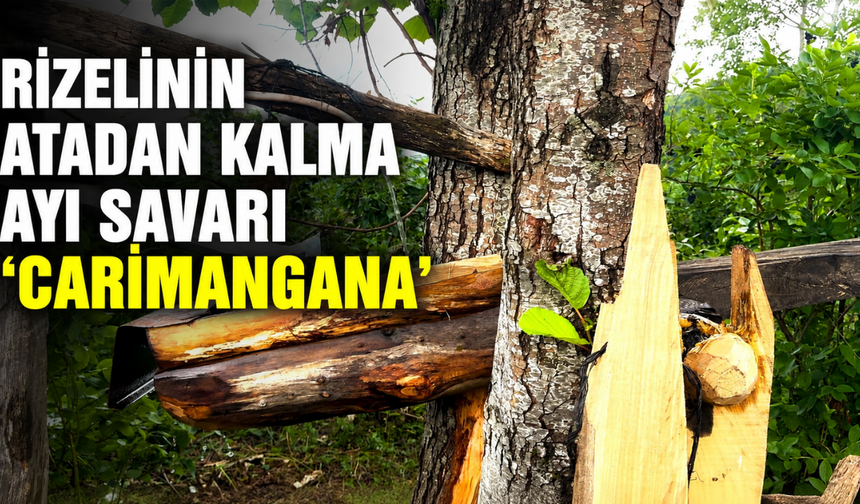 Rizelinin Atadan Kalma Ayı Savarı: 'Carimangana'