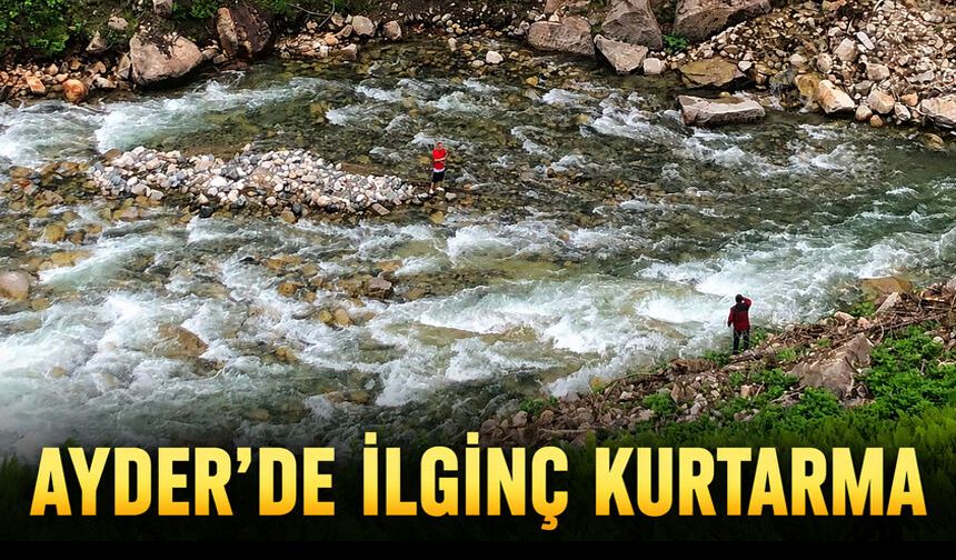 Ayder’de Film Gibi Olay: Papağanını Kurtardı, Kendisi Kurtarılmayı Bekledi